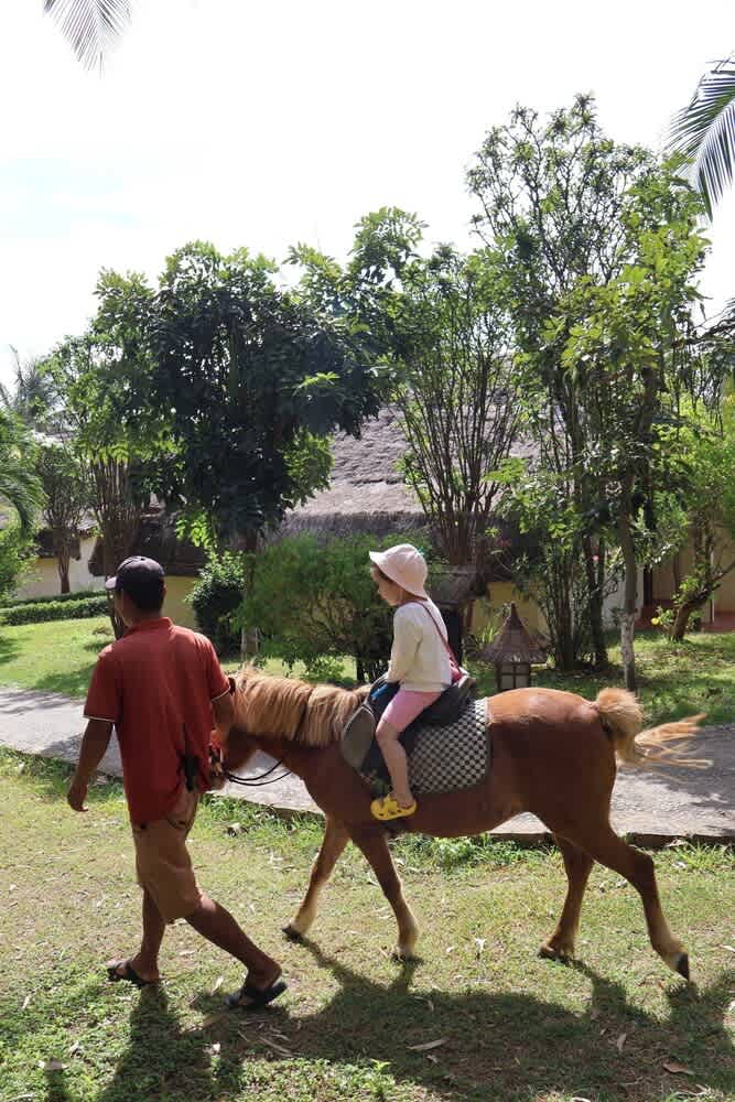 Ridning