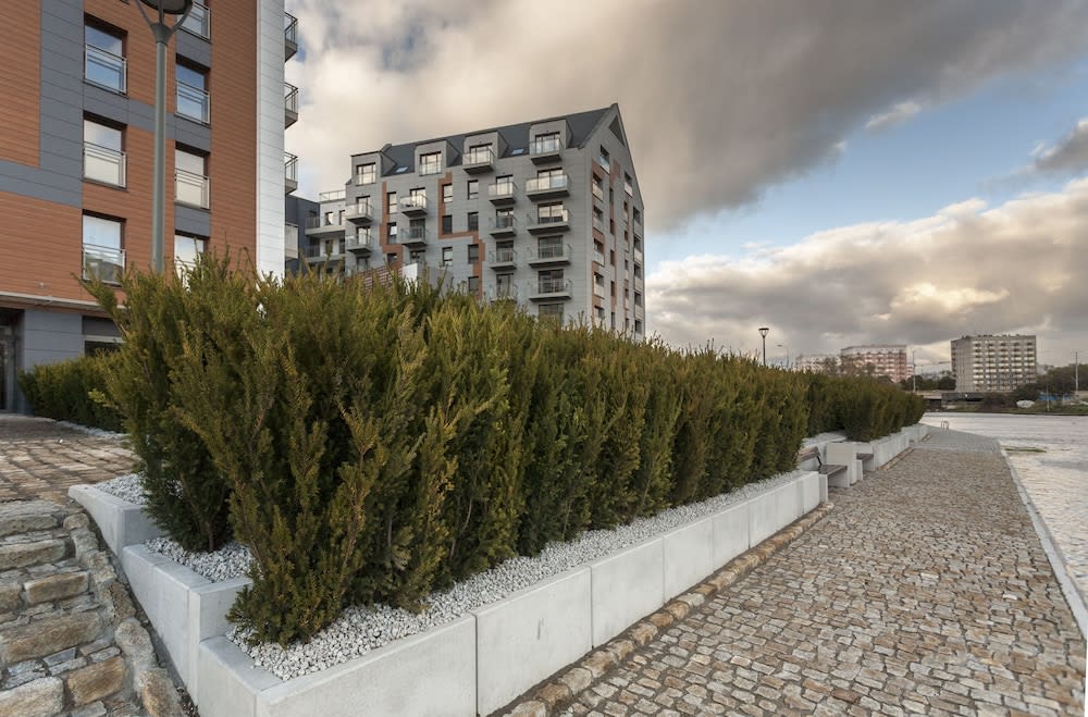 Utsikt från boendet
