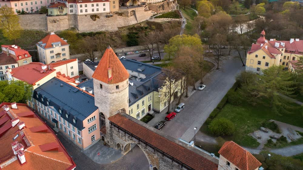 Exteriör