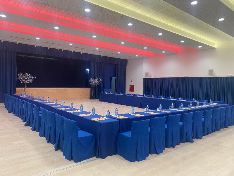 Konferenser