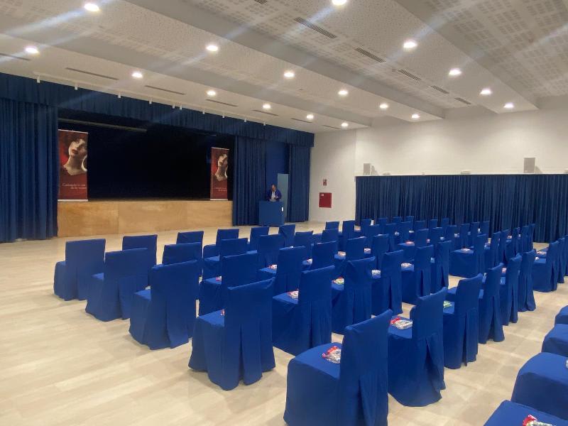 Konferenser