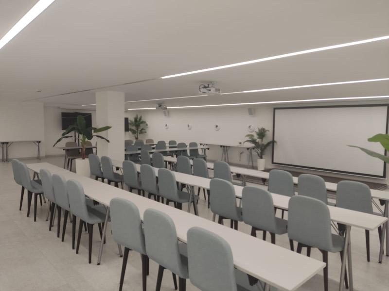 Konferenser