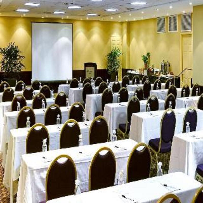 Konferenser