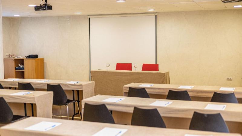 Konferenser
