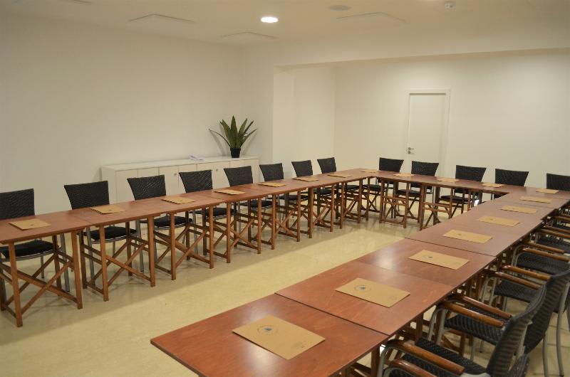 Konferenser