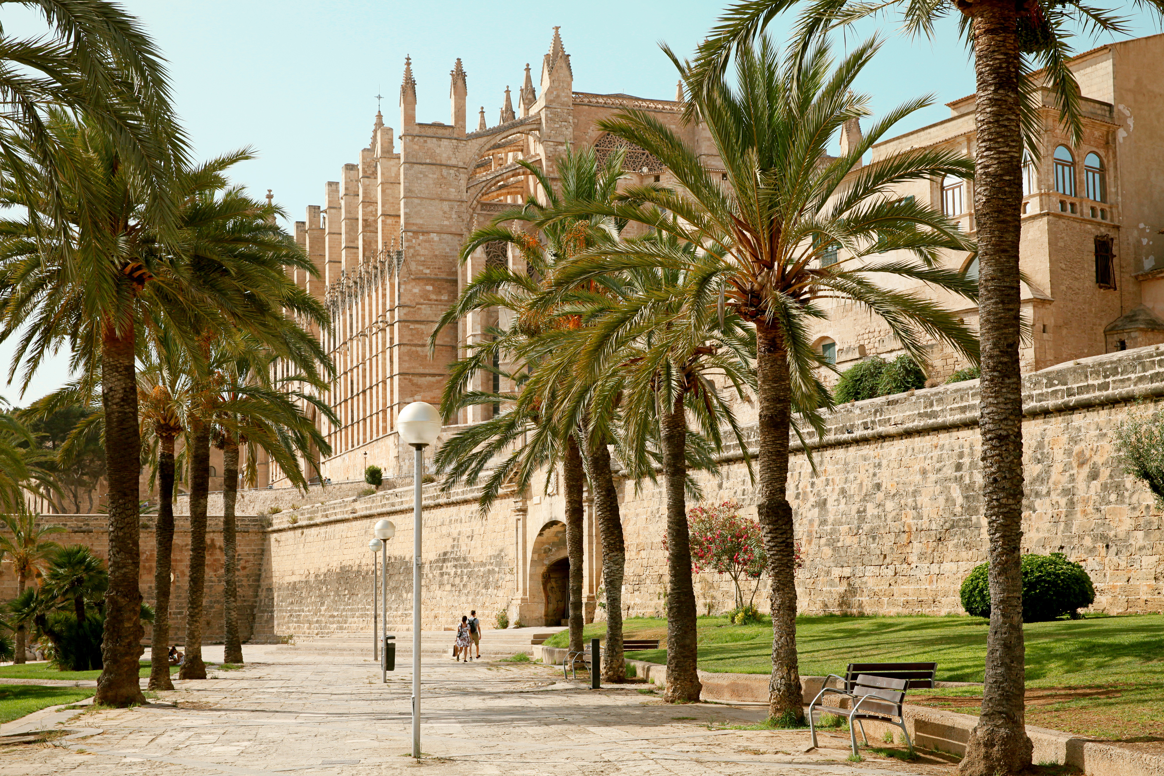 Palma stad