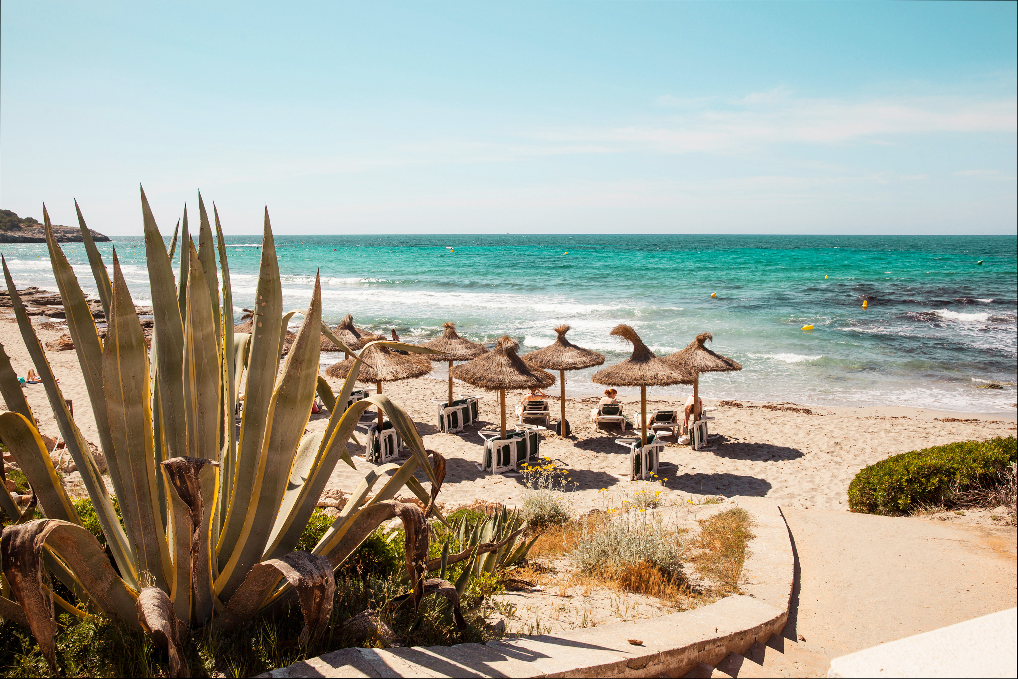 Santo Tomas