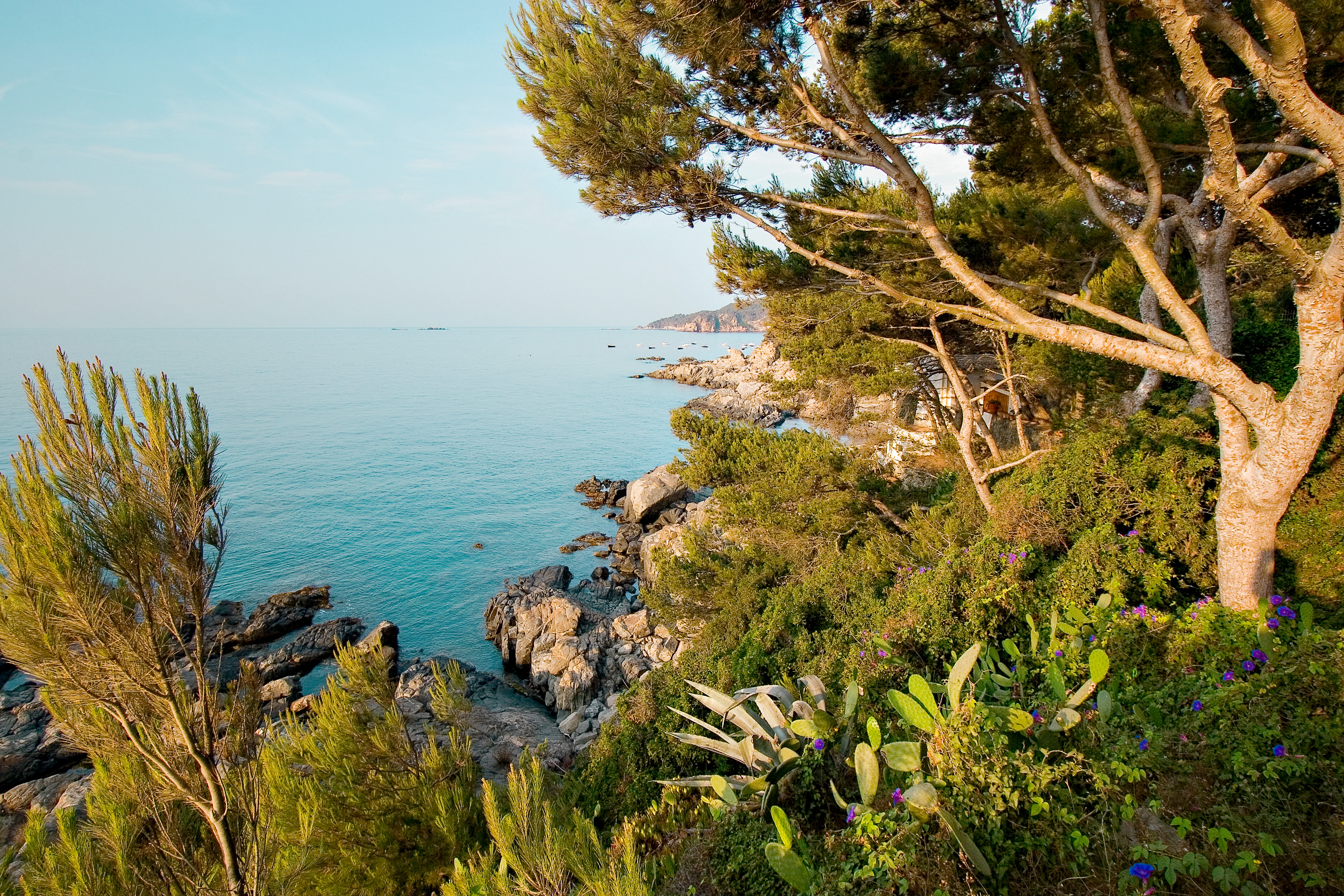 Llafranc, nära Calella
