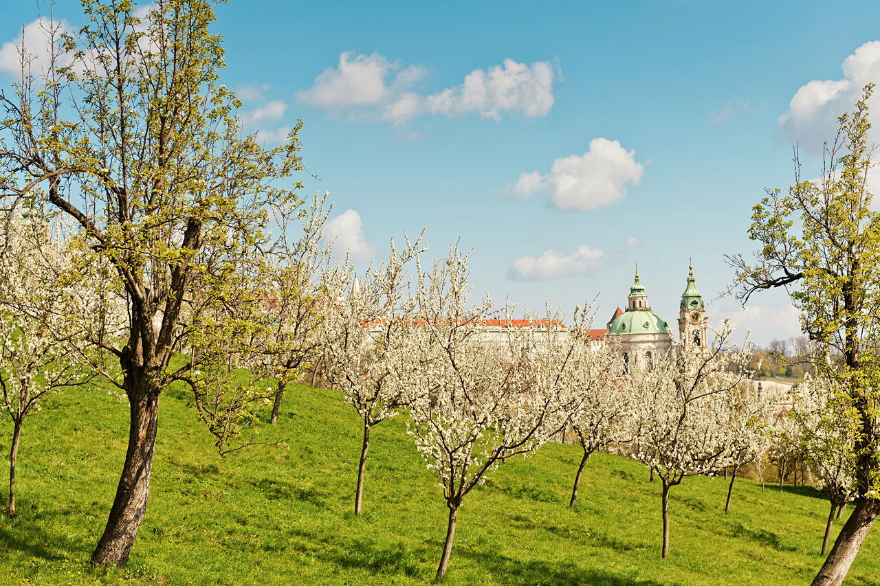 Prag