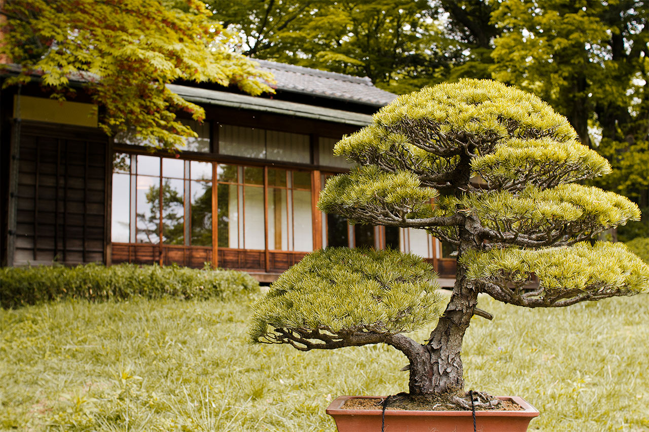 Meiji Shrine Inner Garden, Tokyo