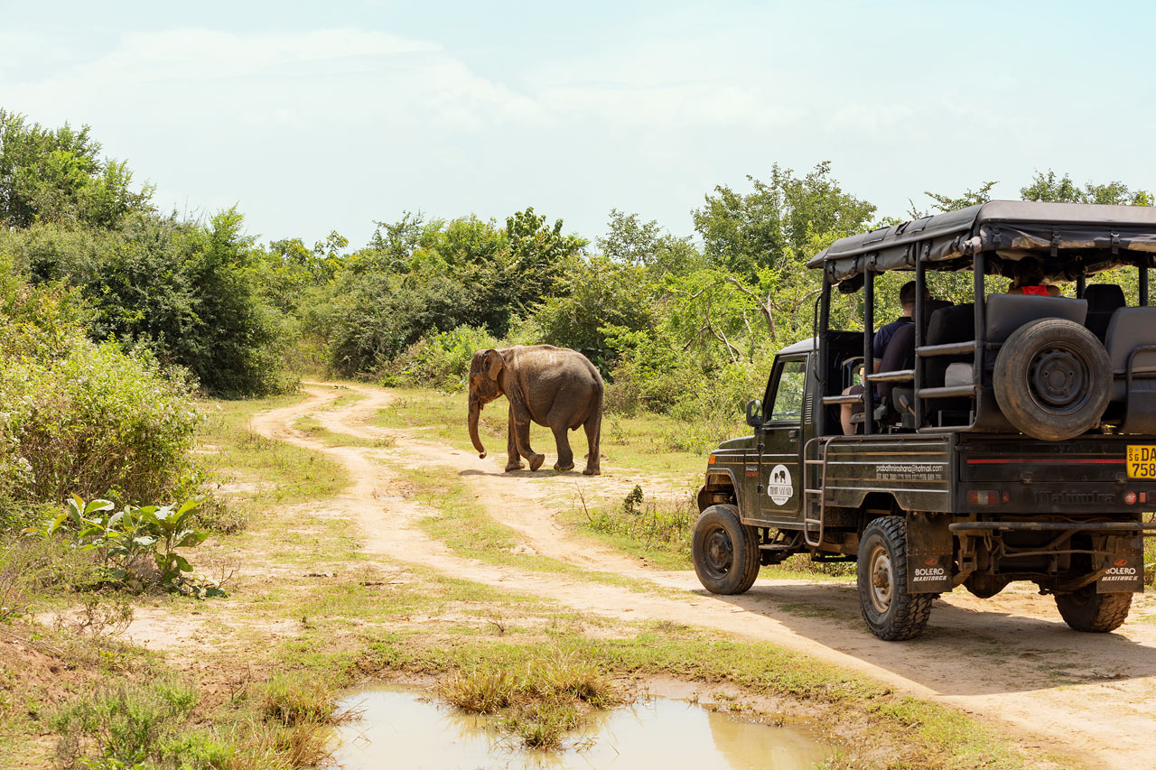 Udawalawe nationalpark