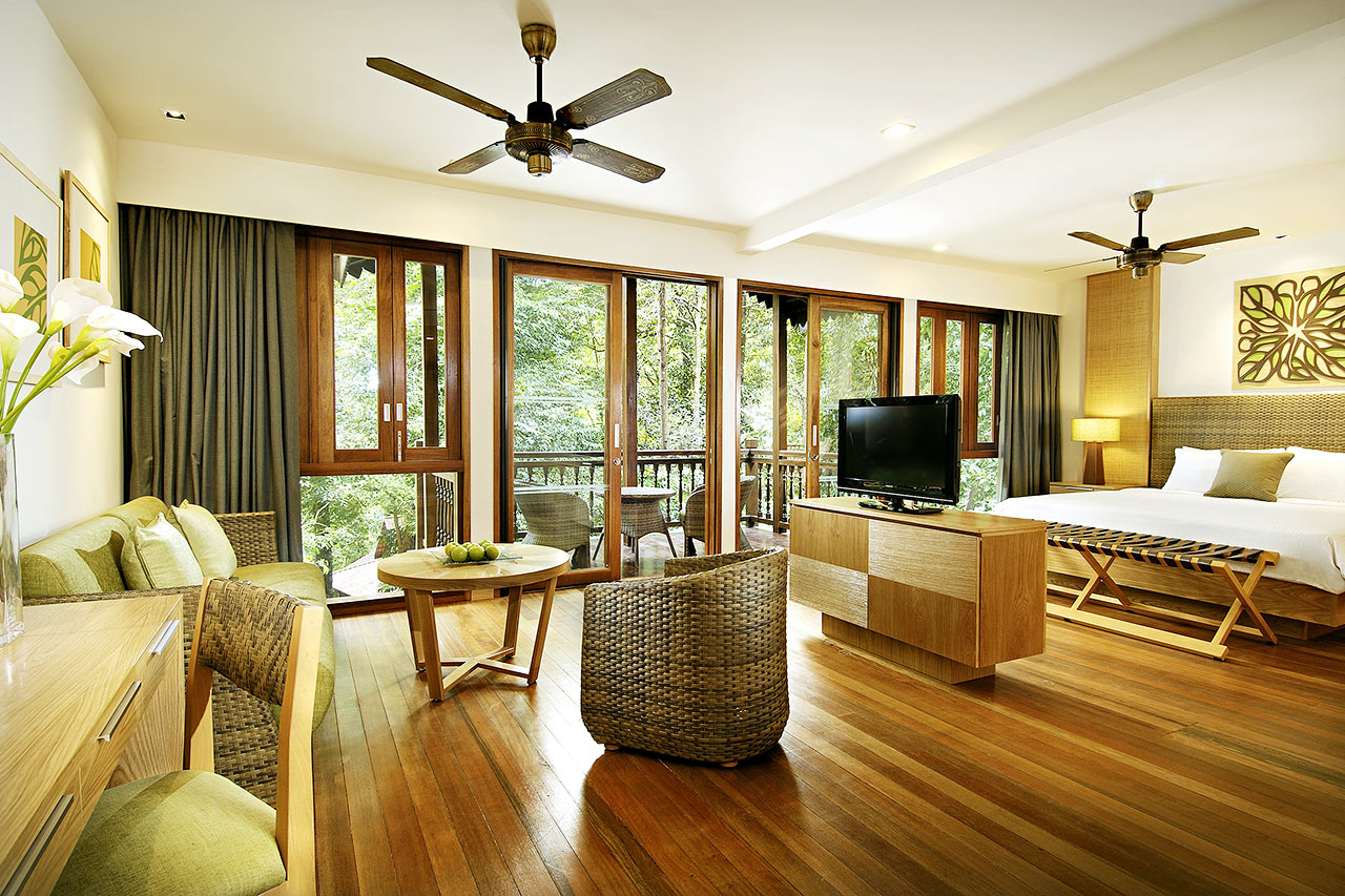 Rainforest studio