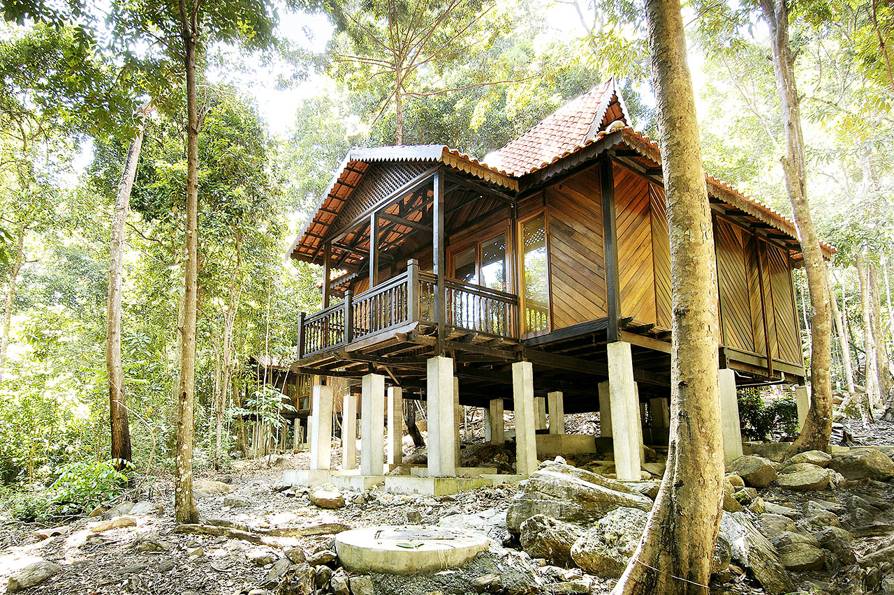 Rainforest studio