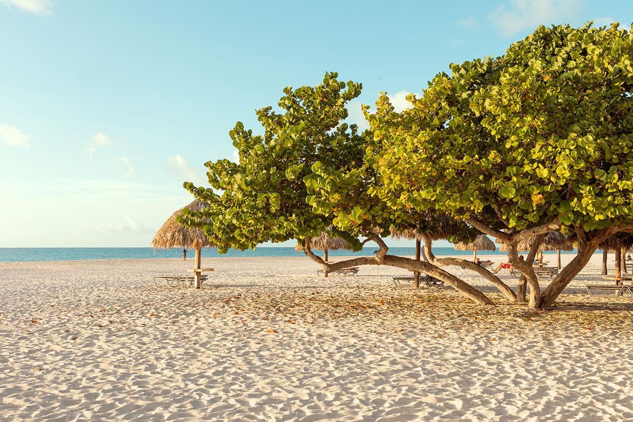 Stranden vid Manchebo Beach Resort and Spa