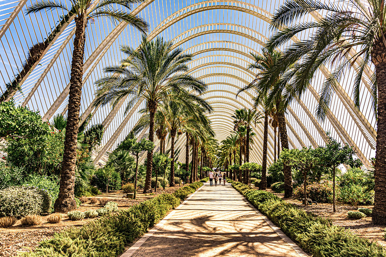 Umbracle Modern Tree Park